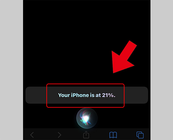 Hỏi Siri trên iPhone 11 để biết phần trăm pin trên iPhone 11