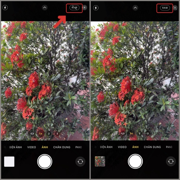 Mẹo hay khắc phục camera mờ, nhoè của iPhone 12 Pro Max